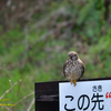 ３月２９日(月曜日)