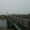 今日の鹿本橋定点撮影