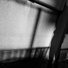 記録写真#689 夜明けに活動を開始し、日が沈む前に帰宅する文化