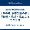 【2026】浜寺公園の桜｜開花時期・見頃・見どころ・アクセス