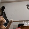 趣味の話。