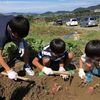 親子で芋ほりを楽しむなら滋賀県のアグリパーク竜王へ！