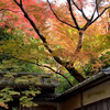 京の四季　秋