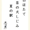 白ほたて茶の犬しじみ夏の駅