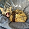 GWにやりたいことリスト5選。