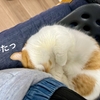出社前と出社後。