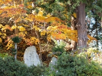 SNAP DIARY【Nov.7】