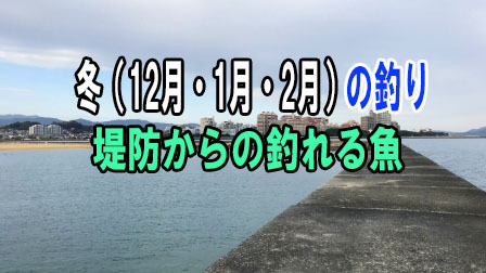 冬（12月・1月・2月）の釣り 堤防からの釣れる魚