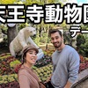 【You tube】天王寺動物園デート