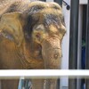 バイクで訪園館：福山市立動物園