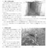 庵谷・片掛銀山『富山市の遺跡物語』