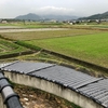 志知川沖田南遺跡の溜め池遺構（兵庫県南あわじ）