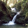 自然を満喫の鴨谷の滝