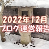 2022年12月ブログ運営報告 11月の煽りで不振続く 