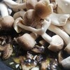 クッパもいいけど鶏飯ね！