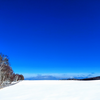 雪景色と牧場の白樺＠長野県