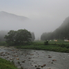 市川市の小学生・つかみどり体験