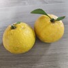 きなこ👧回復とはるか🍊初収穫の話