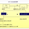 ところで、ゾロアスター教ってどんな宗教なの❓🤔