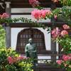永明寺の百日紅