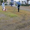 自治会役員・幹部で公園の除草を行いました(2022/09/23)