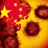 武漢ウイルス 2018年から中国のウィルス研究の危険性警告されていた　