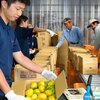 熊本県から福島へミカン贈る