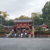 京都「八坂神社」青瀧（蒼龍）2024