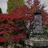 紅葉の中……高尾山薬王院さまがお参りくださいました🙏