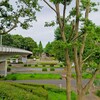 洞峰公園体育館 ～つくば市とその周辺の風景写真案内（１４１）