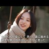 ウェディングウォーズ最終回ネタバレ、本当に優勝したのはどこ？