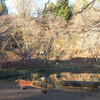 大分➔熊本で温泉巡り（６）用作公園の紅葉はほとんど散っていた