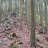奥多摩の人気コース、変化に富んだ高水三山の魅力