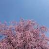 グリーンランド タマホームスペシャル２０２２ 第２０回 花火物語 開催日 花火打ち上げ時間は？