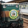 【釧路湿原ノロッコ号とカヌー川下り】