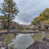 採点競技って難しい