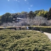 【勧修寺】庭師が一切入ってない名勝庭園と餓鬼に食事を与える修行僧＠京都2024