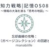 【知力戦略|記憶OS08】忘却曲線の攻略：自動削除（ガベージコレクション）の回避と分散学習