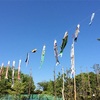 4010 羽根木公園にて