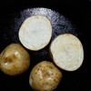 一袋99円（税別）也！