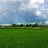 安曇野、梅雨の朝の大きな虹。