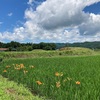 侍塚古墳群 (再訪)  大田原市湯津上