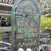 タイのチェンマイ旧市街にあるちょっとオシャレな皮膚科に行って来た(^_-)-☆