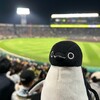 春のタイガースナイター！(甲子園その2)(676)