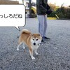 わんこの寝姿って…( *´艸｀)