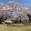 燃える春の火曜日。