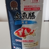 金魚のエサとおやつのマツモ