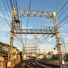 外の写真は案外いけるかも。