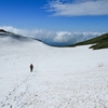 鳥海山ー残雪と花の季節ー