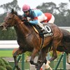 【⭐万馬券必至？！朝日杯FSの予想🏇】